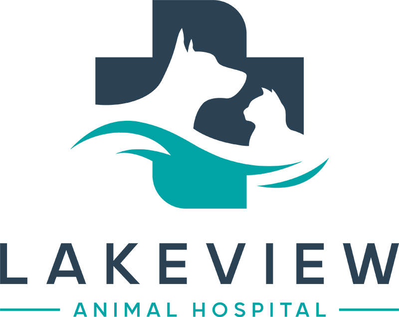 About Lakeview Animal Hospital | Vet in D'Iberville, MS 39540