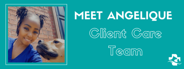 Meet Angelique